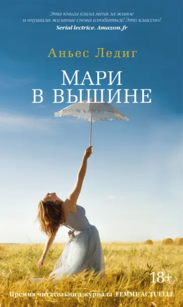 Аньес Ледиг - Мари в вышине обложка книги