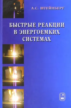 Александр Штейнберг - Быстрые реакции в энергоемких системах. Высокотемпературное разложение ракетных топлив и взрывчатых обложка книги