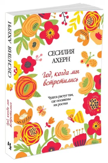 Сесилия Ахерн - Год, когда мы встретились обложка книги