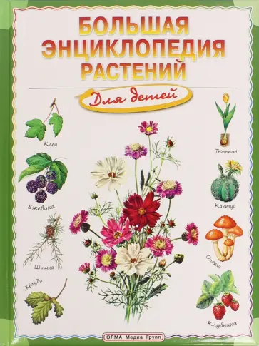 Brewer, Farndon - Большая энциклопедия растений для детей Brewer, Farndon - Большая энциклопедия растений для детей обложка книги