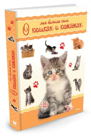 Моя большая книга о кошках и котятах Моя большая книга о кошках и котятах обложка книги