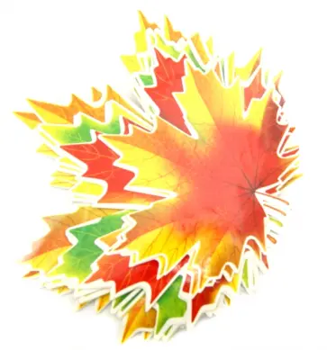 Набор украшений для стен на двухстороннем скотче "Кленовые листья" (КМ-9283) обложка книги