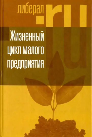 Шестоперов, Ермилова - Жизненный цикл малого предприятия обложка книги