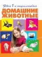 Смирнова Александра Андриановна