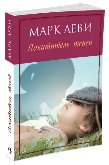 Марк Леви - Похититель теней обложка книги