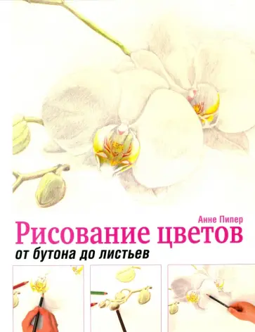 Анне Пипер - Рисование цветов от бутона до листьев Анне Пипер - Рисование цветов от бутона до листьев обложка книги