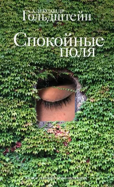 Александр Гольдштейн - Спокойные поля обложка книги