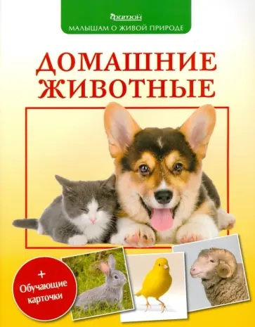 Петр Волцит - Домашние животные обложка книги