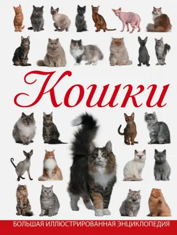 Дмитрий Смирнов - Кошки Дмитрий Смирнов - Кошки обложка книги