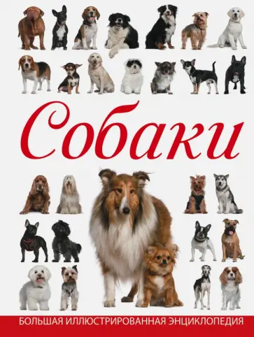 Вайткене, Барановская - Собаки обложка книги