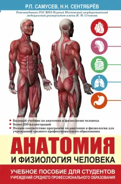 Профессор анатомии / La Prof. Di Anatomia (2002)