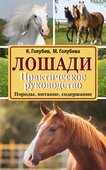 Голубев, Голубева - Лошади. Породы, питание, содержание. Практическое руководство обложка книги