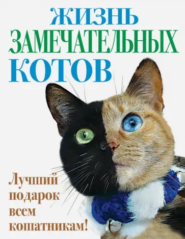 Жизнь замечательных котов обложка книги