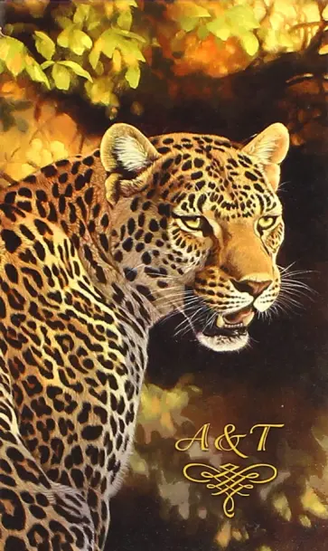 Телефонная книжка "Леопард" (48 листов, 85x155 мм) (39810-30) обложка книги