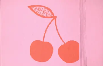 Набор стикеров на резинке "Комстоки" (25046) обложка книги