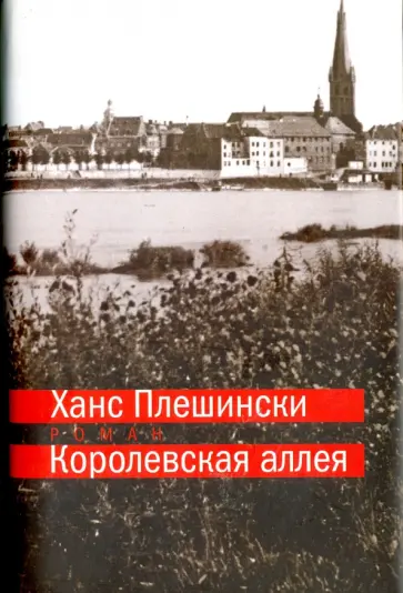 Ханс Плешински - Королевская аллея обложка книги