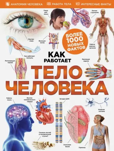 Тело человека обложка книги