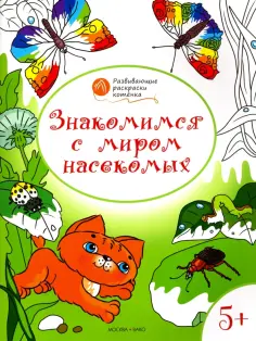 Оранжевый котенок