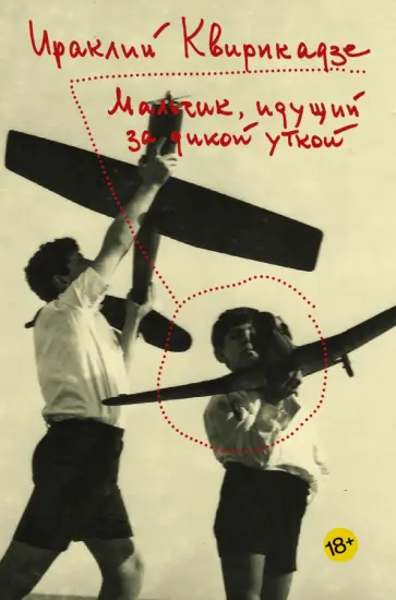 Ираклий Квирикадзе - Мальчик, идущий за дикой уткой обложка книги