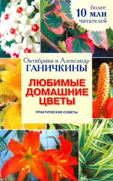 Ганичкина, Ганичкин - Любимые домашние цветы. Практические советы Ганичкина, Ганичкин - Любимые домашние цветы. Практические советы обложка книги