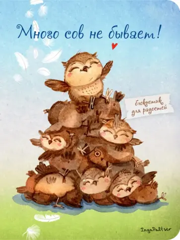 Блокнот "Много сов не бывает!" (мини), А6 обложка книги