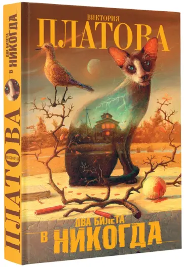 Виктория Платова - Два билета в никогда Виктория Платова - Два билета в никогда обложка книги