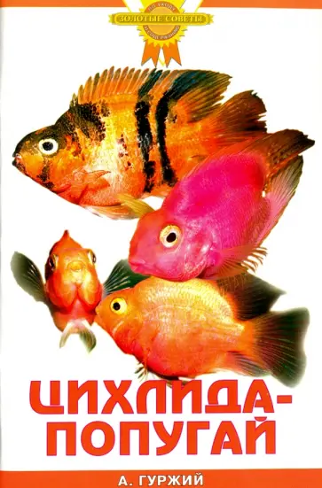 Александр Гуржий - Цихлида-попугай обложка книги