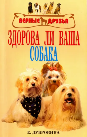 Елена Дубровина - Здорова ли ваша собака Елена Дубровина - Здорова ли ваша собака обложка книги