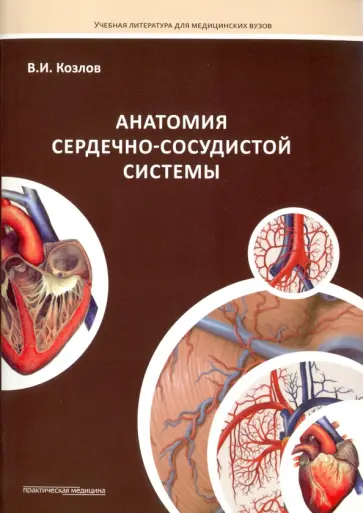 Валентин Козлов - Анатомия сердечно-сосудистой системы. Учебное пособие для студентов медицинских вузов обложка книги