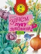 Когда и как сажать лук – Журнал Едадила