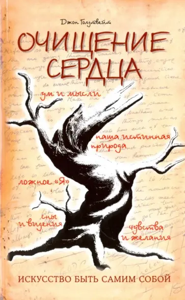 Джон Голдтвейт - Очищение сердца обложка книги