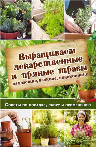Наталия Костина-Кассанелли - Выращиваем лекарственные и пряные травы на участке, балконе, подоконнике. Советы по посадке, сбору обложка книги
