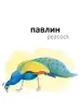 Миниатюра 3