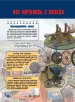 Миниатюра 4