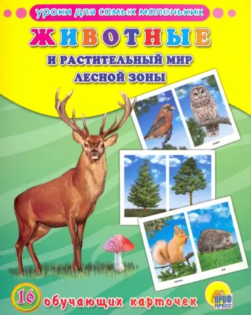 Животные и растительный мир лесной зоны Животные и растительный мир лесной зоны обложка книги