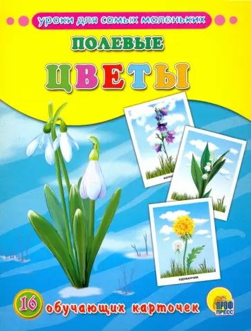 Полевые цветы Полевые цветы обложка книги