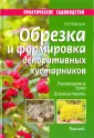 Воронцов Валентин Викторович
