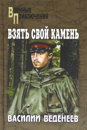 Василий Веденеев - Взять свой камень Василий Веденеев - Взять свой камень обложка книги