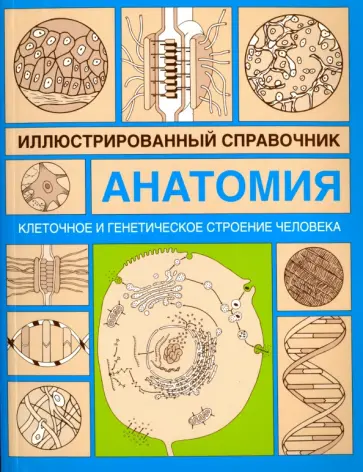 Анатомия. Иллюстрированный справочник. Клеточное и генетическое строение человека Анатомия. Иллюстрированный справочник. Клеточное и генетическое строение человека обложка книги