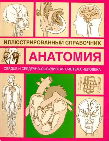 Сердце и сердечно-сосудистая система Сердце и сердечно-сосудистая система обложка книги