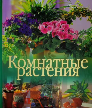 Аня Флемиг - Комнатные растения обложка книги