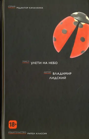 Владимир Лидский - Улети на небо обложка книги