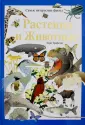 Трифелд Лори