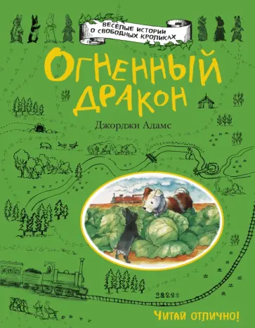 Джорджи Адамс - Огненный дракон обложка книги