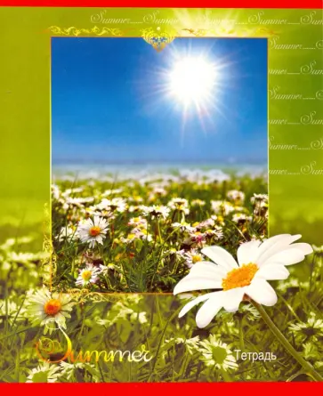 Тетрадь "Времена года. Летний парк" (48 листов) (С0743-22) обложка книги