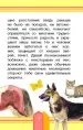 Миниатюра 4