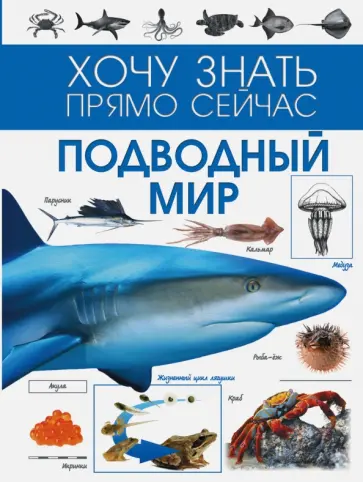 Филиппова, Ботякова - Подводный мир обложка книги