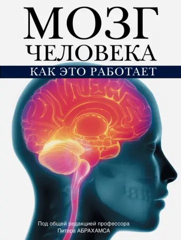 Питер Абрахамс - Мозг человека. Как это работает обложка книги