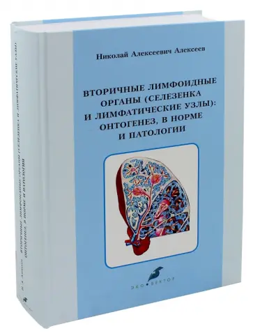 Николай Алексеев - Вторичные лимфоидные органы (селезенки и лимфатические узлы). Онтогенез, в норме и патологии обложка книги