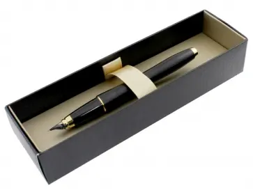 Ручка перьевая "Urban Muted Black" (S0850640) обложка книги